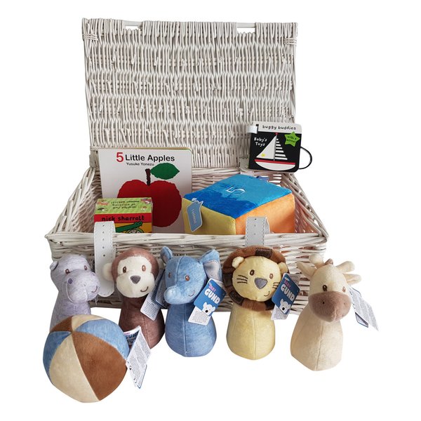 Book and Toy Hamper